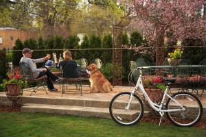 科达伦罗斯福宾馆的坐在桌子旁的两只狗和自行车