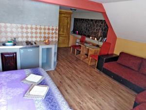 兹拉蒂博尔Vila Zlatibor的带沙发的客厅和厨房
