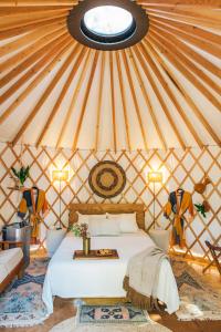 奥斯汀Camposanto Glamping - The Macaw Yurt的蒙古包内一间卧室,配有一张床