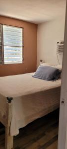 库莱布拉Casa LOLO on hills of Culebra的一间卧室设有一张大床和窗户