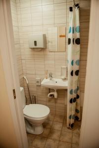 奥泰佩Edgari Guesthouse的一间带卫生间和水槽的小浴室