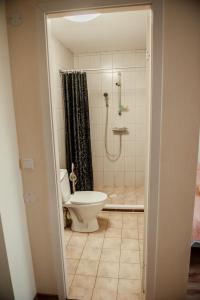 奥泰佩Edgari Guesthouse的一间带卫生间和淋浴的浴室