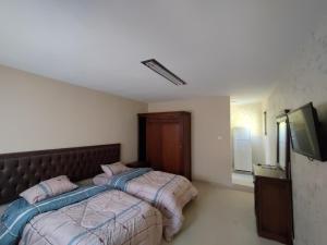 TufailahSail Alhasa Tourist Resort-Tafila的一间卧室配有两张床和一台平面电视