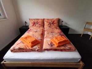戈绍Ferienwohnung Hirschen的床上有2个枕头