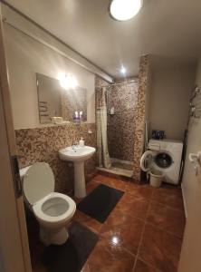 奈达Audringa的浴室配有卫生间、盥洗盆和淋浴。