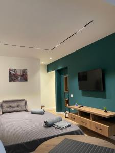 地拉那Downtown Studio Apartments的一间卧室配有一张床和一台平面电视