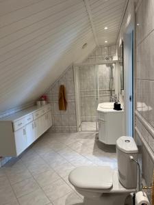 斯塔万格Lovely apartment in maritime surroundings near Stavanger的一间带卫生间和水槽的浴室