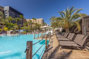 英格兰海滩阿博拉欧陆洛普森酒店的一个带躺椅的游泳池,棕榈树