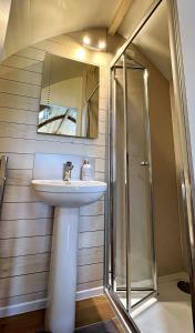 斯基普顿Malhamdale Glamping的一间带水槽和淋浴的浴室