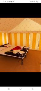 KhuriJaisalmer Safari Base & Camp的帐篷内一间卧室,配有一张床
