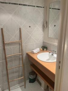 安锡L'escalier du Château T4 Duplex 9 couchages 4*的浴室配有盥洗盆和带镜子的淋浴