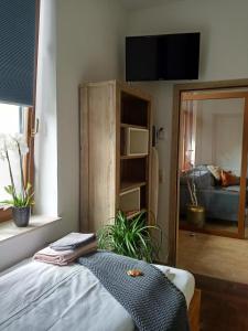 波尔Ehem. Sächsisch-Bayrischer Hof的一间卧室配有一张床、一台电视和一面镜子