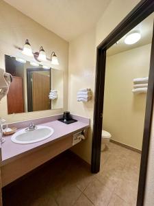 凯洛格凯洛格费尔布里奇宾馆的一间带水槽、镜子和卫生间的浴室