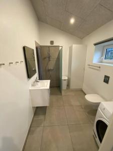 比伦德Small Rica house in the center in Billund的浴室配有卫生间、淋浴和盥洗盆。
