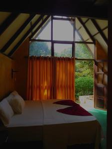 代尼耶耶Rainforest cabin的一张位于带大窗户的房间内的床铺
