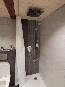 劳特布龙嫩Staubbach View - Traditional Chalet Apartment的带淋浴的浴室和卫生间