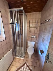 施文道Haus Claudia的一间带卫生间和淋浴的浴室