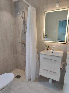 奥尔堡奥尔堡市客房公寓的一间带卫生间、水槽和镜子的浴室