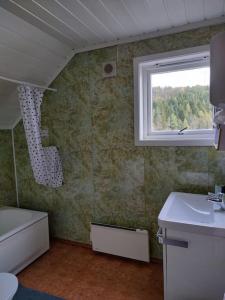 UlefossHus i Telemarkskanalens hjerte的一间带卫生间、水槽和窗户的浴室