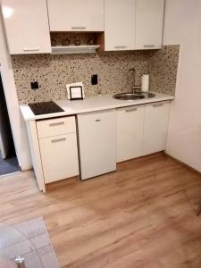 萨格勒布North&South Apartments的厨房铺有木地板,配有白色橱柜。