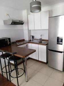 圣地亚哥santiago centro的厨房配有木桌和冰箱。