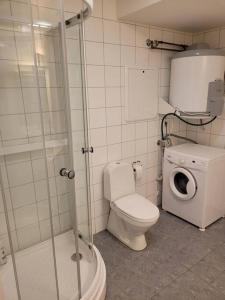 桑讷菲尤尔Cosy flat with 180cm wide very comfortable bed的一间带卫生间和洗衣机的浴室