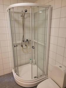 桑讷菲尤尔Cosy flat with 180cm wide very comfortable bed的带淋浴的浴室和卫生间