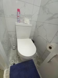 依尔福Mari London room for holiday的浴室设有白色卫生间和蓝色地毯。