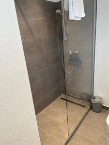 维林根Kleiner Kristall inklusive MeineCard Plus的浴室内带玻璃门的淋浴间
