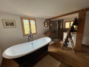 龙疆Romantic private superior Swiss Chalet with Hottub的大型浴室设有浴缸和淋浴。