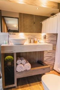 门多萨Tiny House的浴室配有盥洗盆和带毛巾的台面。