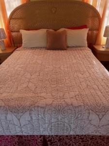FalmouthApartment Unforgetable Gardens的一张带橙色和白色棉被及枕头的床