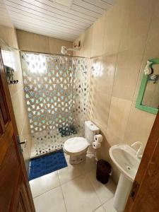 瓜拉派瑞Casa Amarela Hostel的浴室配有卫生间、盥洗盆和淋浴。