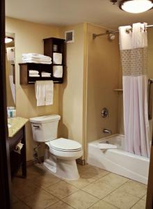 盖茨堡葛底斯堡汉普顿酒店的一间带卫生间、浴缸和淋浴的浴室