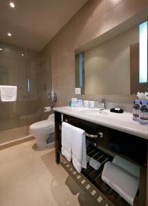 巴拿马城巴拿马城汉普顿希尔顿酒店的一间带水槽、卫生间和淋浴的浴室