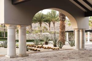 圣何塞德尔卡沃Hilton Los Cabos的棕榈树拱门和喷泉