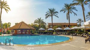 开罗开罗赫利奥波利斯希尔顿酒店的一个带凉亭和棕榈树的游泳池