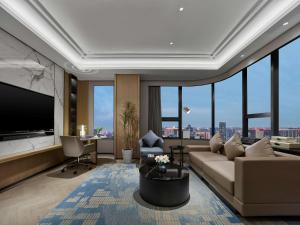 成都成都滨江希尔顿逸林酒店的带沙发和平面电视的客厅
