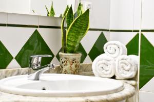 维戈塞尔塔酒店的浴室水槽、毛巾和植物
