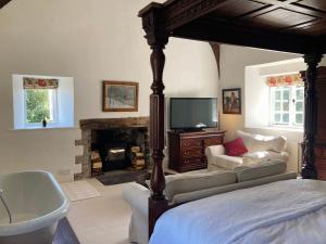 CulboneWorthy Manor的一间卧室配有一张床、一台电视和一个壁炉