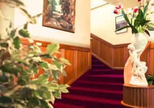 纳皮尔乡间酒店的走廊上设有楼梯,种植了植物,画了画