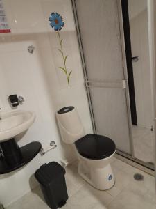 El BordoAlojamiento Panamericano San Miguel的浴室配有卫生间、盥洗盆和淋浴。
