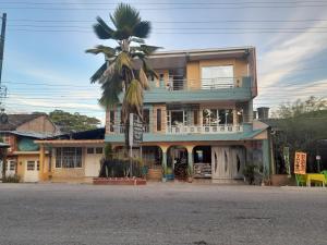 El BordoAlojamiento Panamericano San Miguel的前面有棕榈树的房子