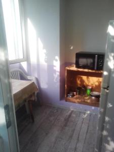 敖德萨Женский Hostel Dvor的客厅设有壁炉,配有微波炉