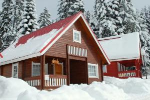 波罗维茨Alpine ski chalet Borovets with sauna的雪中树下的小木屋