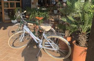 科佩尔比奥酒店的自行车停在一些植物旁边