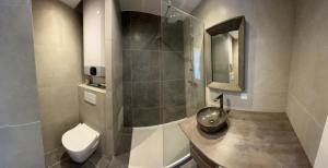 圣马克西姆Appartement T2 Sainte Maxime的带淋浴、卫生间和盥洗盆的浴室