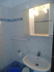 斯基亚索斯镇玛丽亚一室公寓的一间带水槽和镜子的浴室