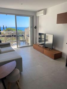 圣马克西姆Appartement T2 Sainte Maxime的客厅配有平面电视和沙发。