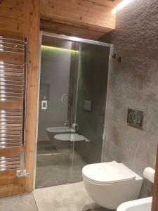 布勒伊-切尔维尼亚Fior di Roccia Apartments的带淋浴、卫生间和盥洗盆的浴室